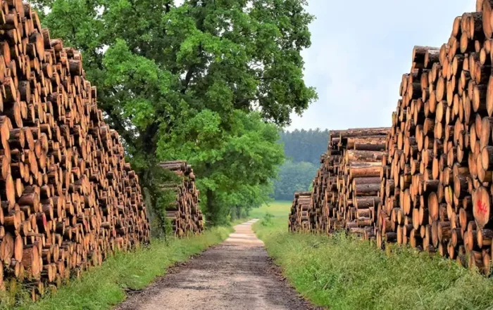 Cheminees Le Petit Diable Cheminee A Quimper Fermeture Exceptionnelle Jours De Mai