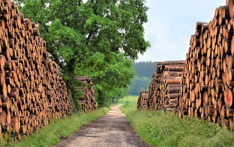 Cheminees Le Petit Diable Cheminee A Quimper Fermeture Exceptionnelle Jours De Mai