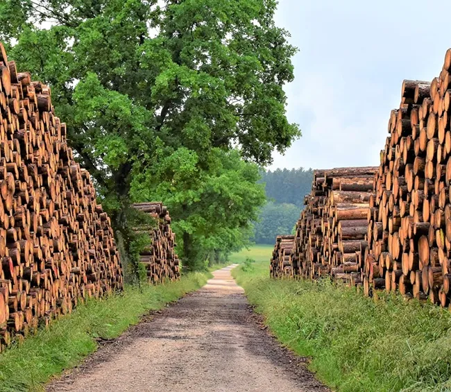 Cheminees Le Petit Diable Cheminee A Quimper Fermeture Exceptionnelle Jours De Mai1